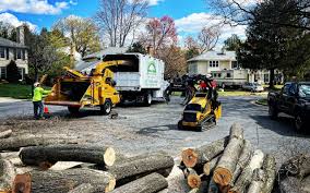 Lawn Watering Services in Nappanee, IN